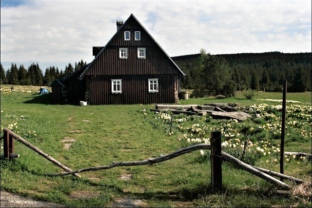 Úvodní fotografie galerie KOŘENOVSKO
