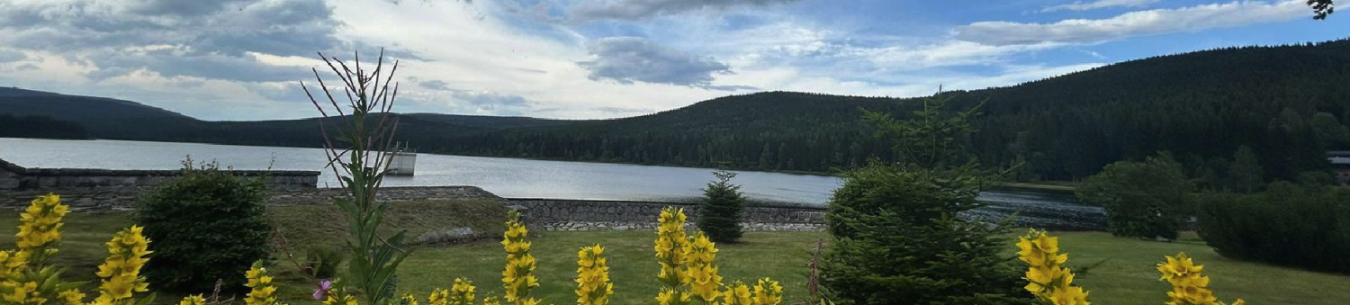 Panoramatický pohled na přehradu Souš obklopenou lesy Jizerských hor